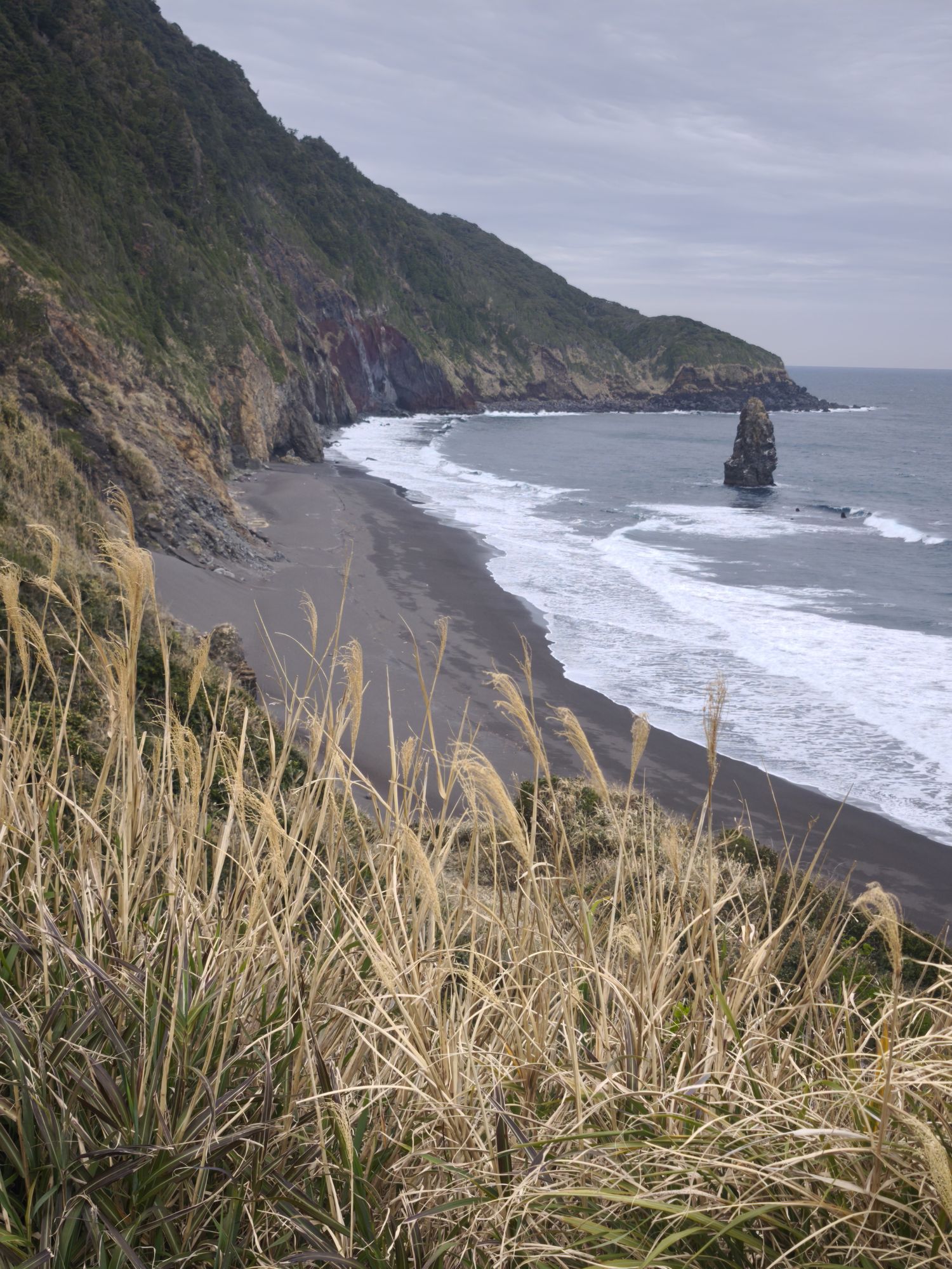 A quiet stretch of Japanese coastline